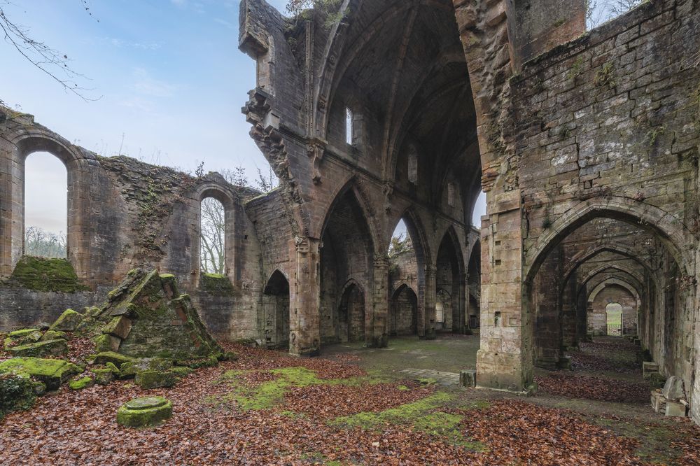 Photograph by FRANCIS MESLET