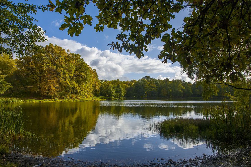 Photograph by Анна Груднева