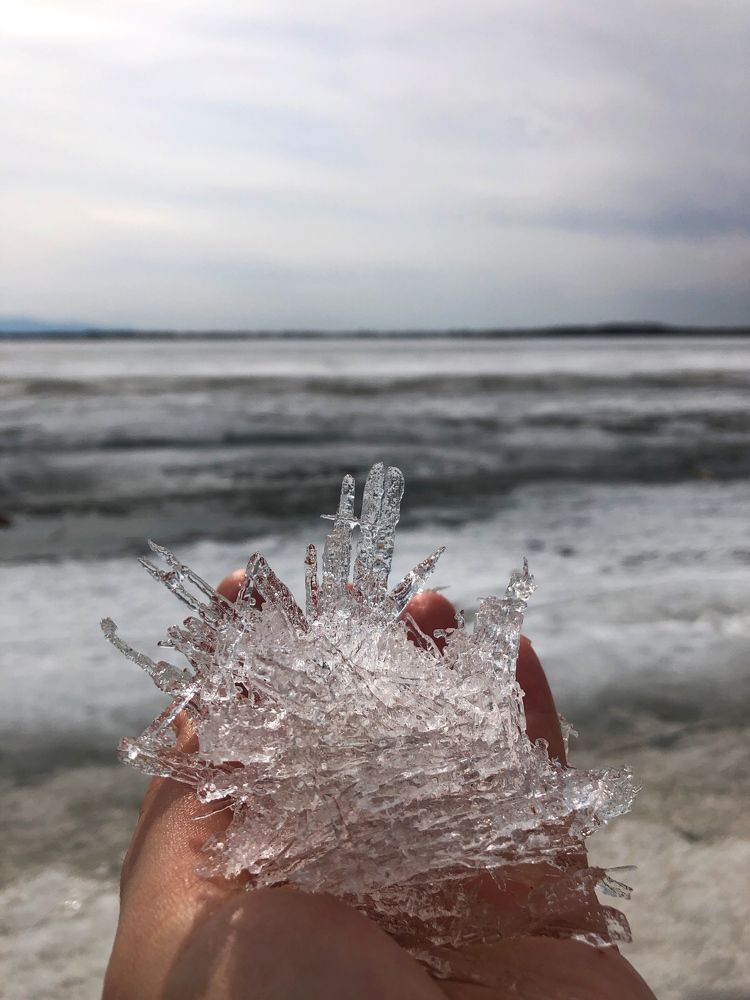 Photograph by Ксения Соснина