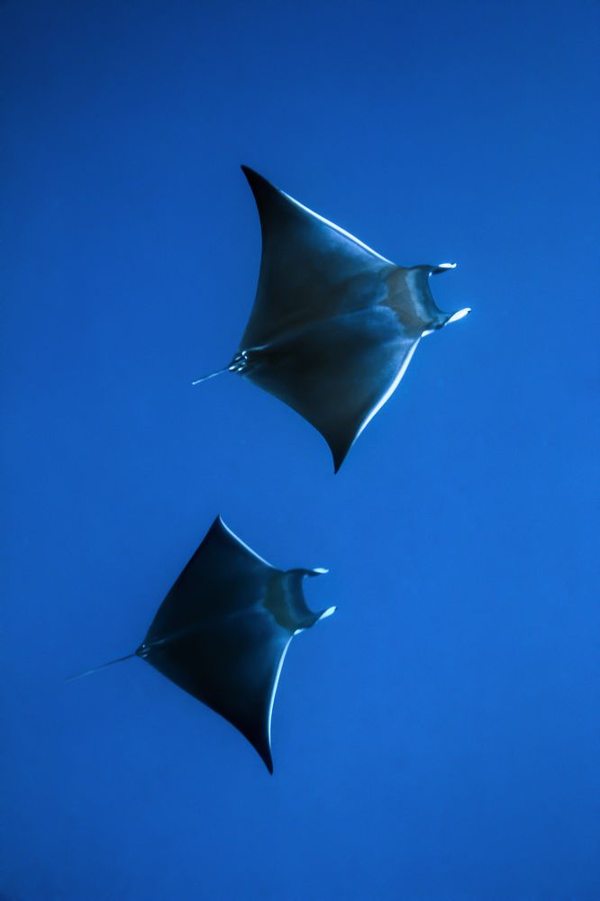 Photograph by Игорь Богаченко