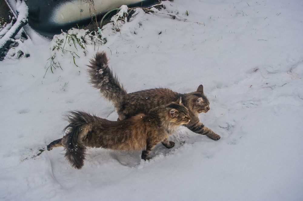 Photograph by Александр Челюканов