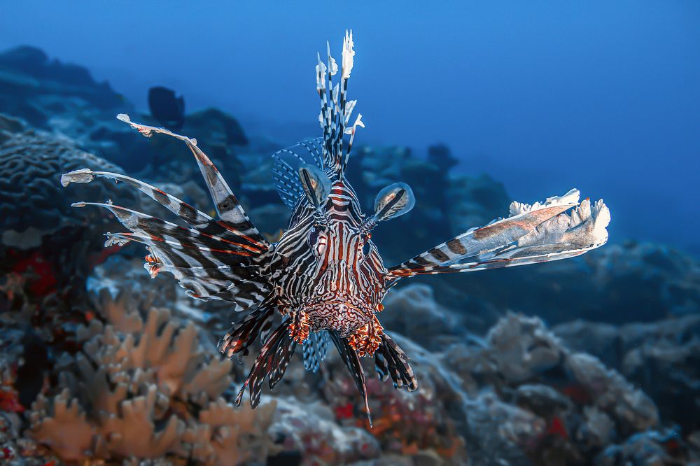 Photograph by Игорь Богаченко