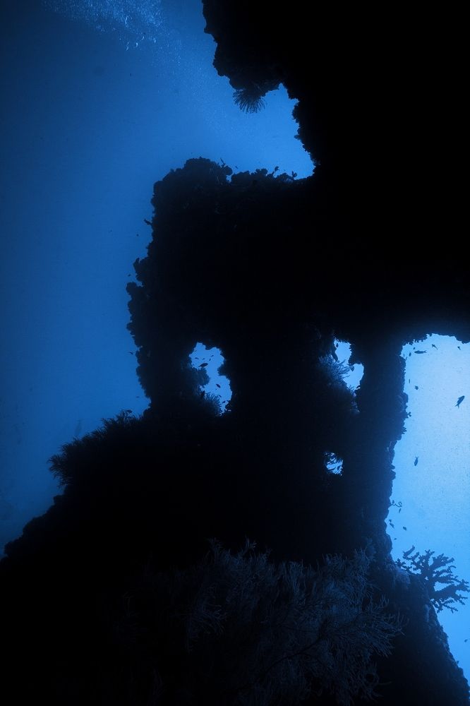 Photograph by Игорь Богаченко