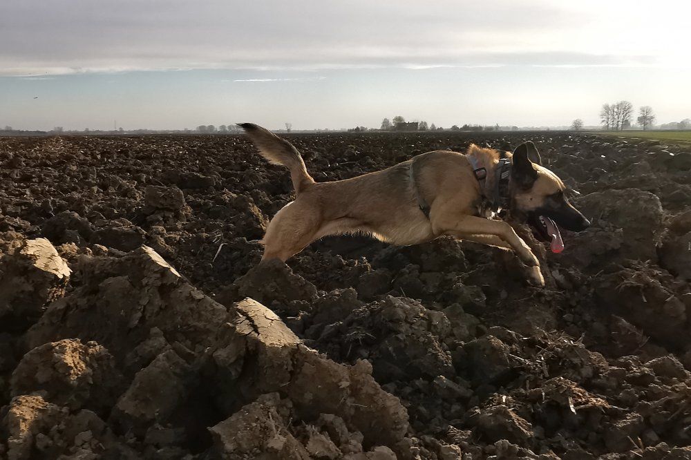 Photograph by Maciej