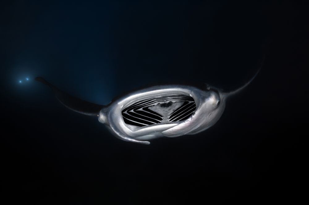 Photograph by Игорь Богаченко