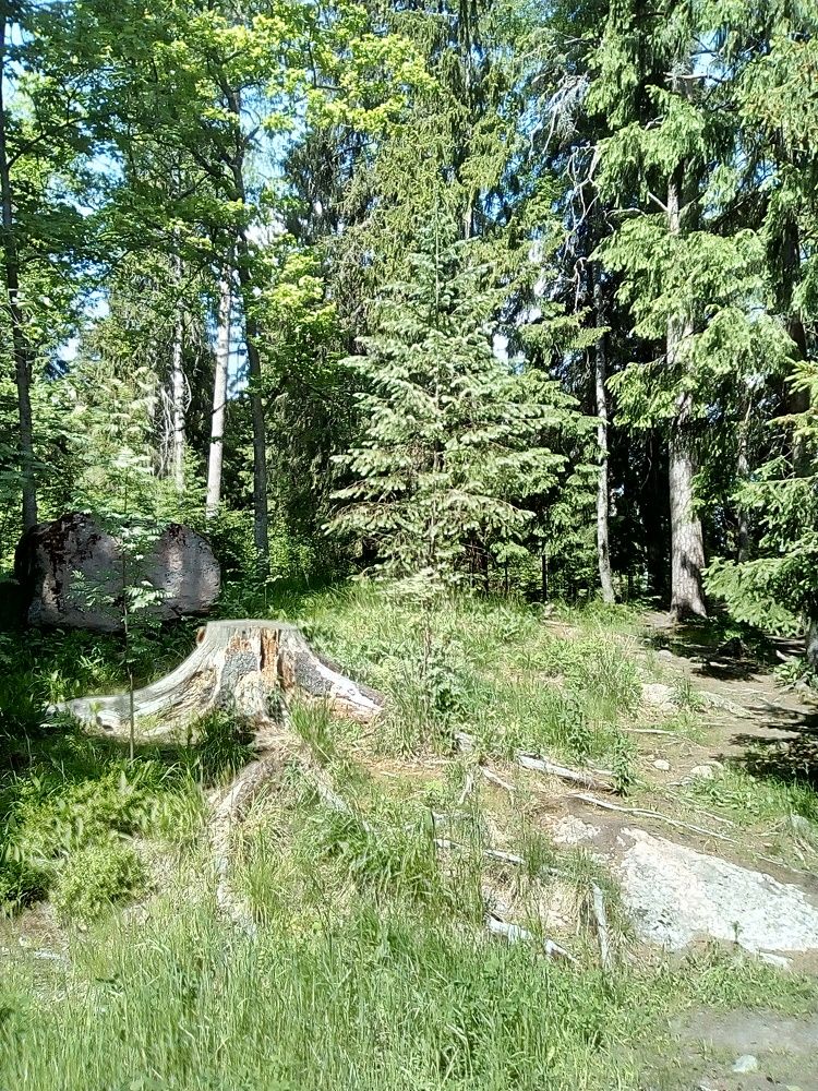 Photograph by Irina Mihailovskaya