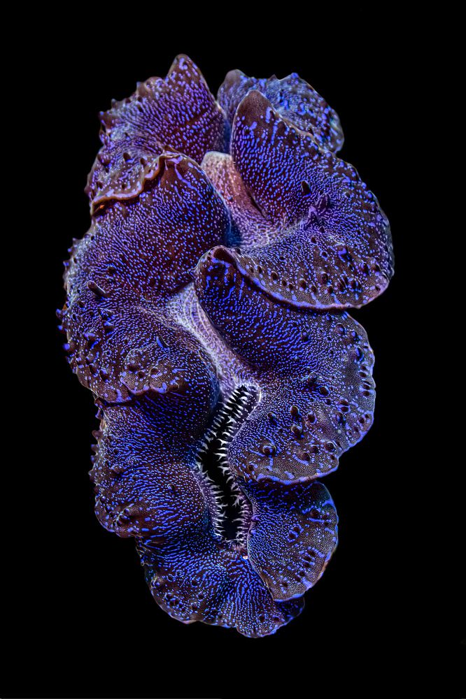 Photograph by Игорь Богаченко