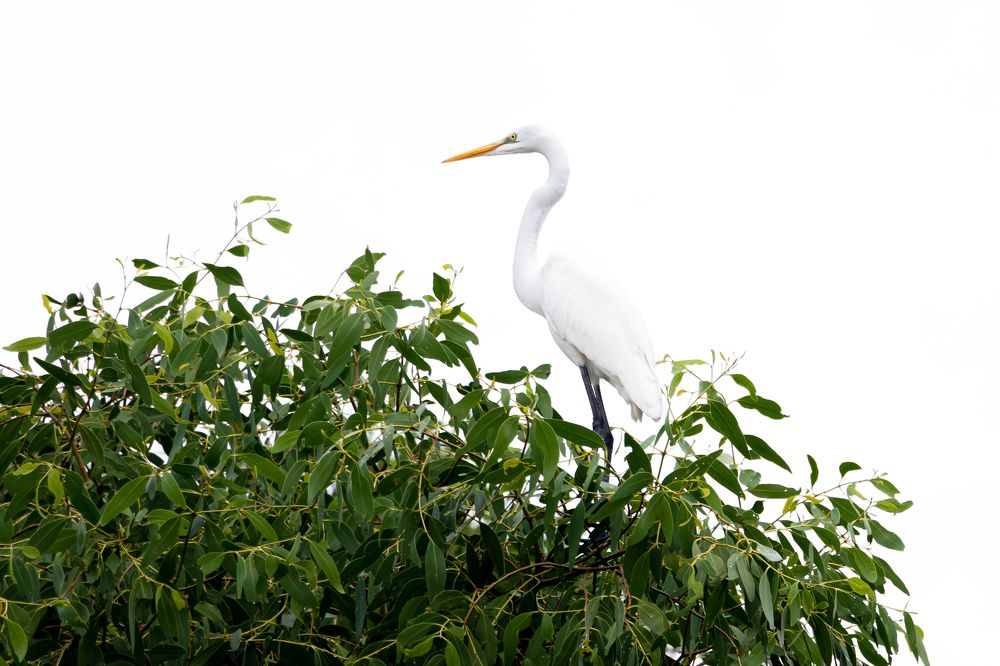 Photograph by Jahangir Alam Onuchcha