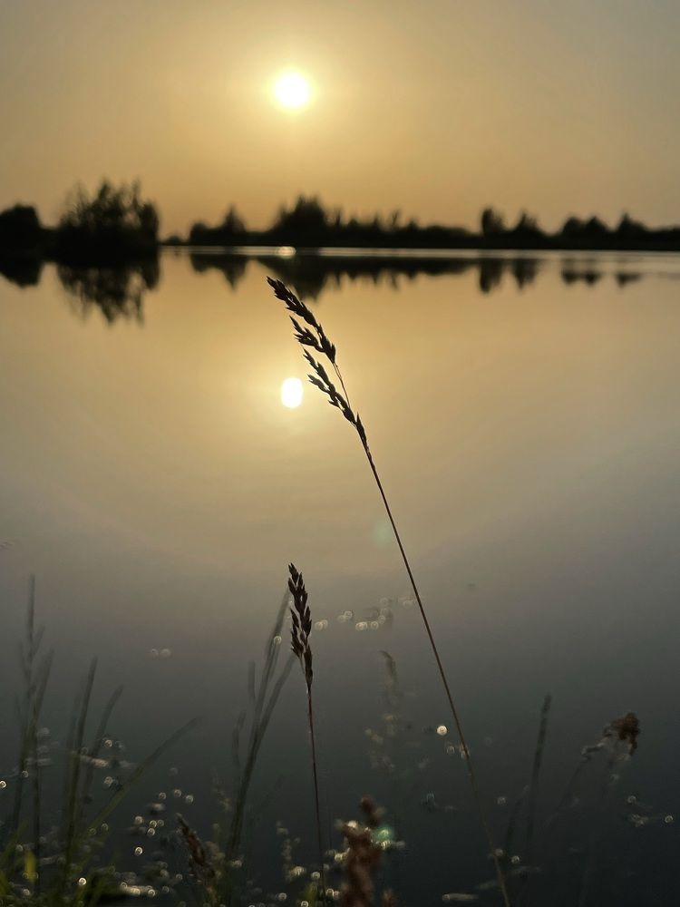 Photograph by Анна