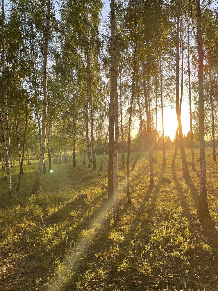 Photograph by Анна