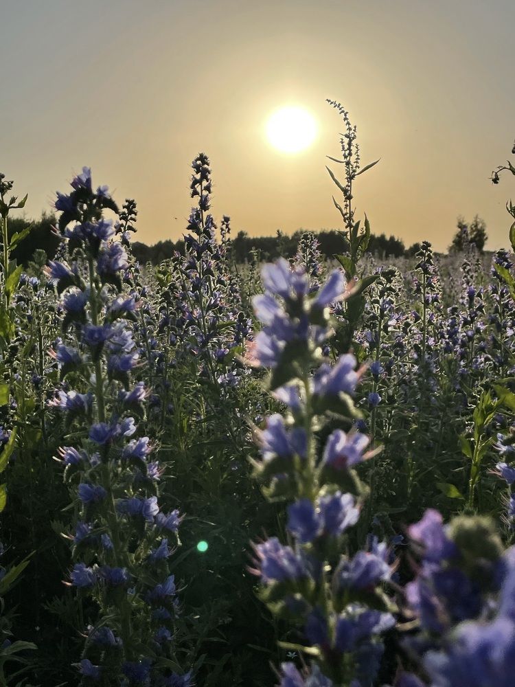 Photograph by Анна