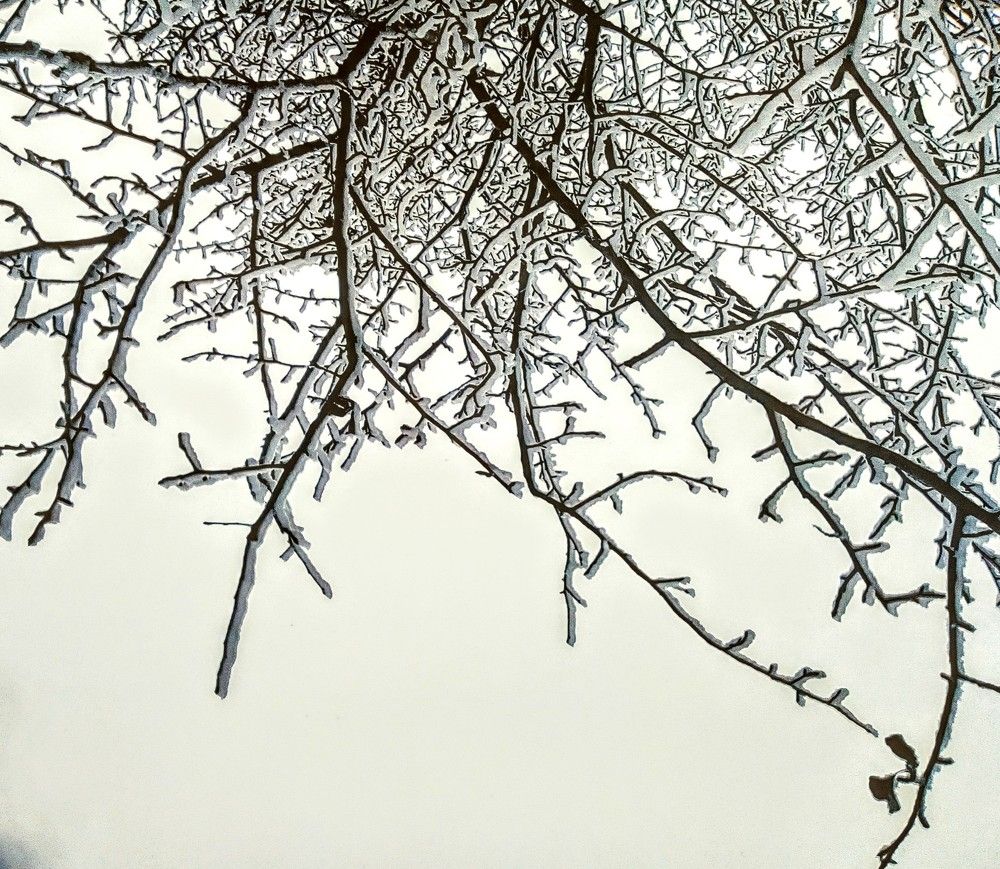 Photograph by Irina Mihailovskaya