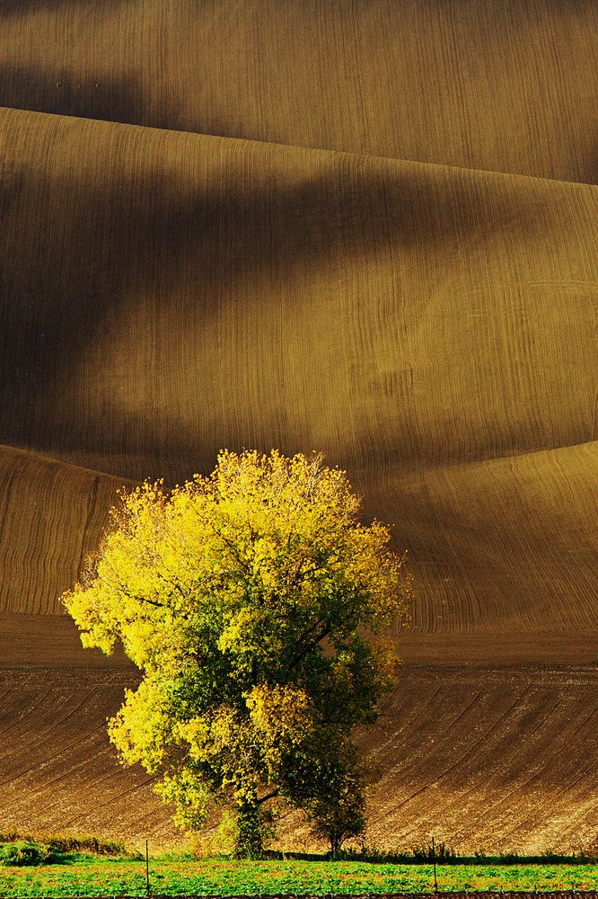 Photograph by Matejček Peter