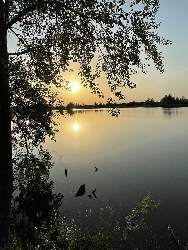 Photograph by Анна