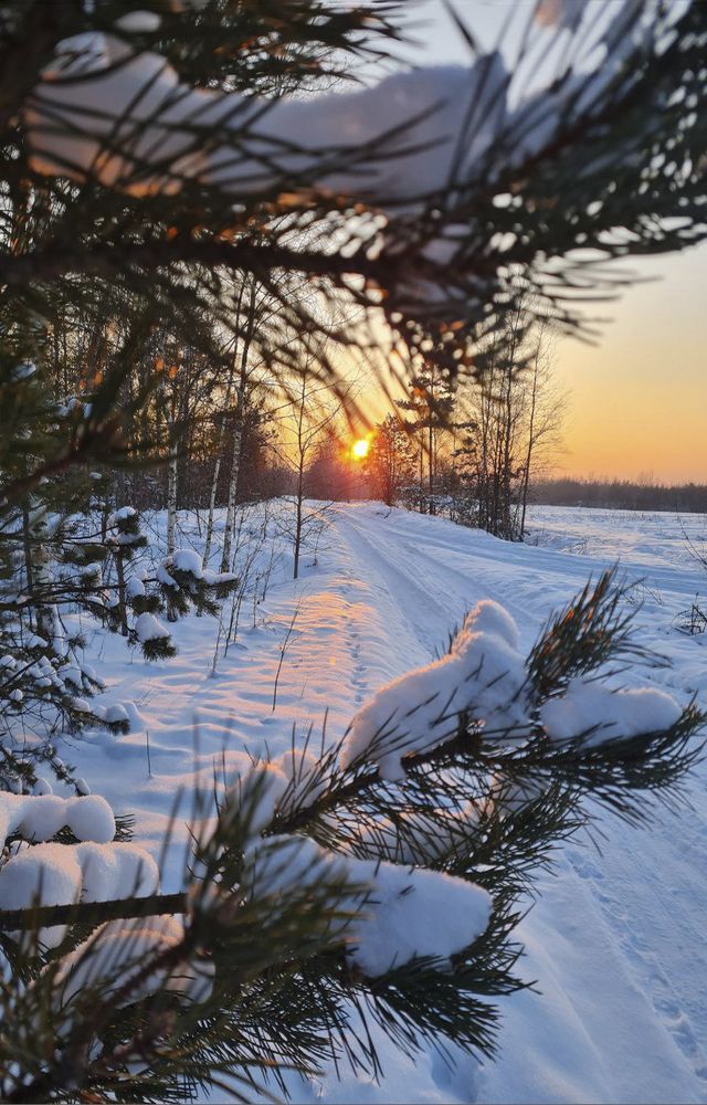 Photograph by Владимир Щербатко