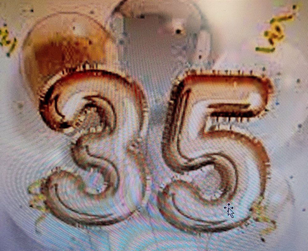 Photograph by Diwakaran D