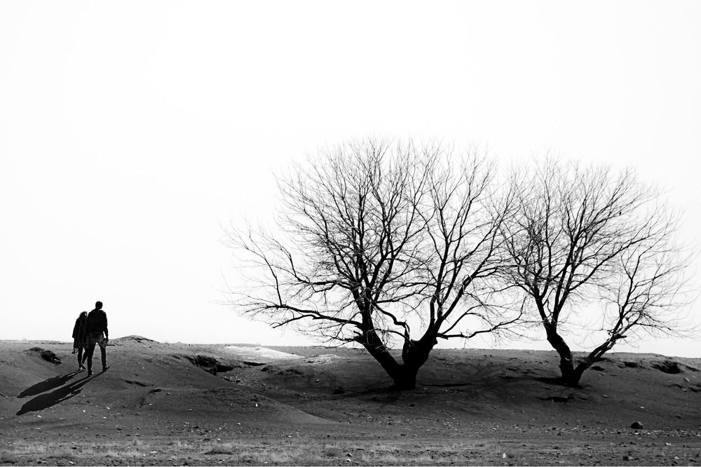 Photograph by Behzad Jourabchi Bokharaei