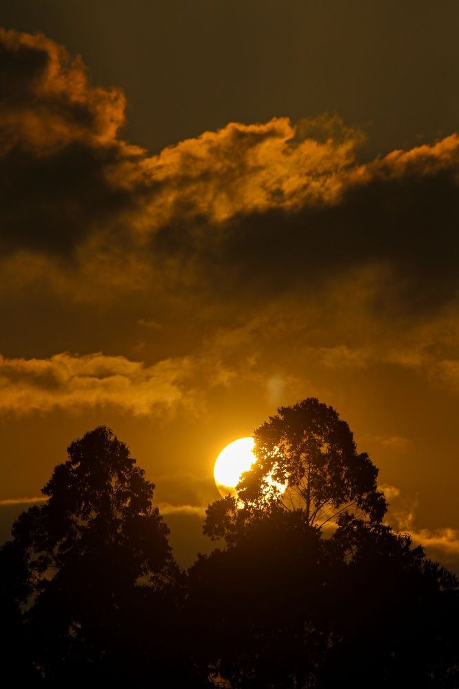 Photograph by Mathew Nishanth