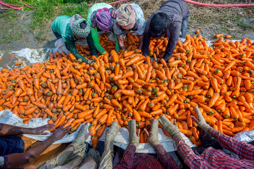 Photograph by Jahangir Alam Onuchcha