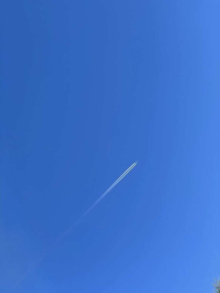 Photograph by Елена Горбунова