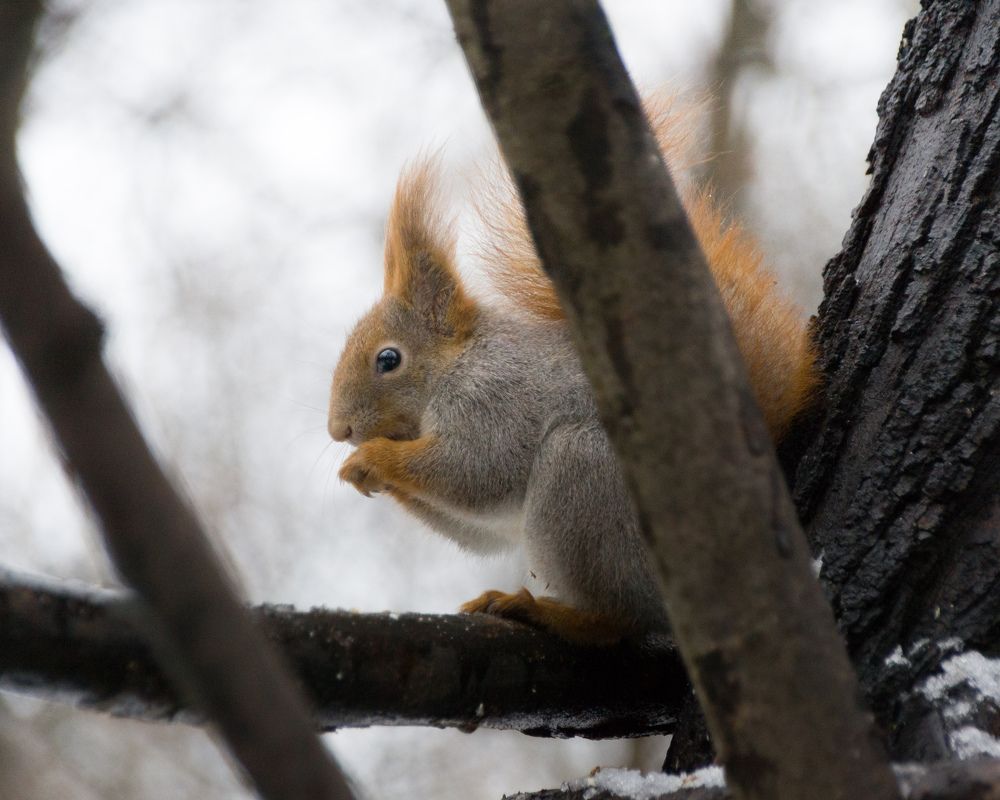 Photograph by Тихон Петров