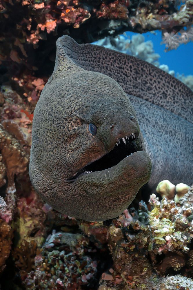 Photograph by Игорь Богаченко