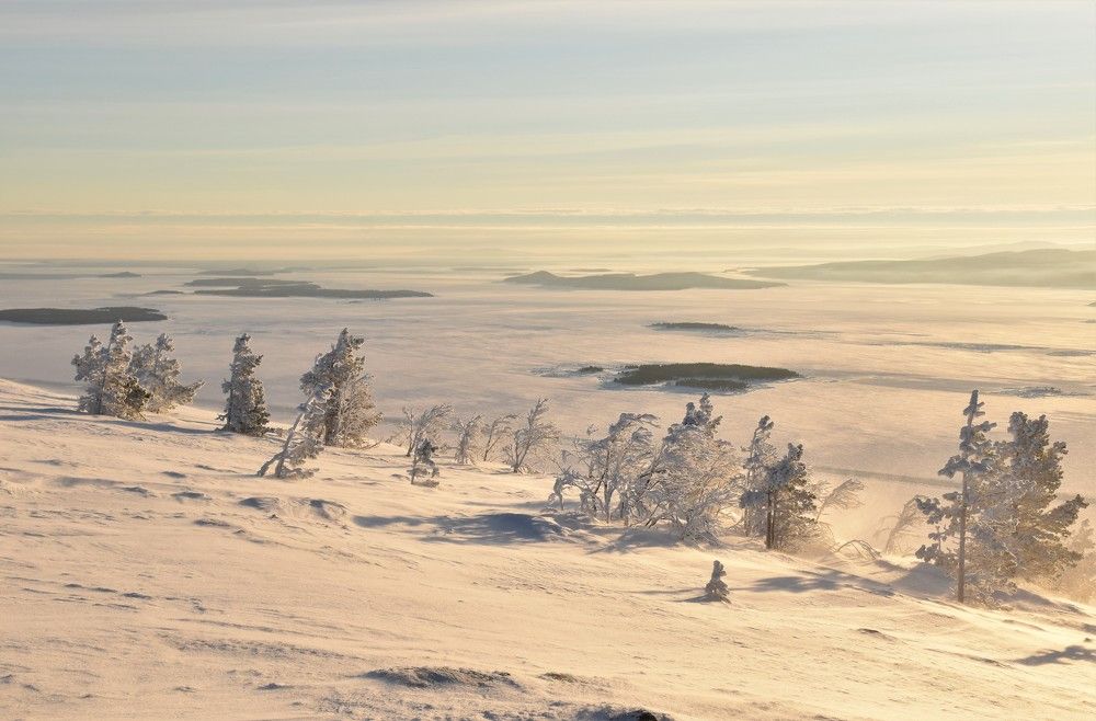 Photograph by Алина Голубева