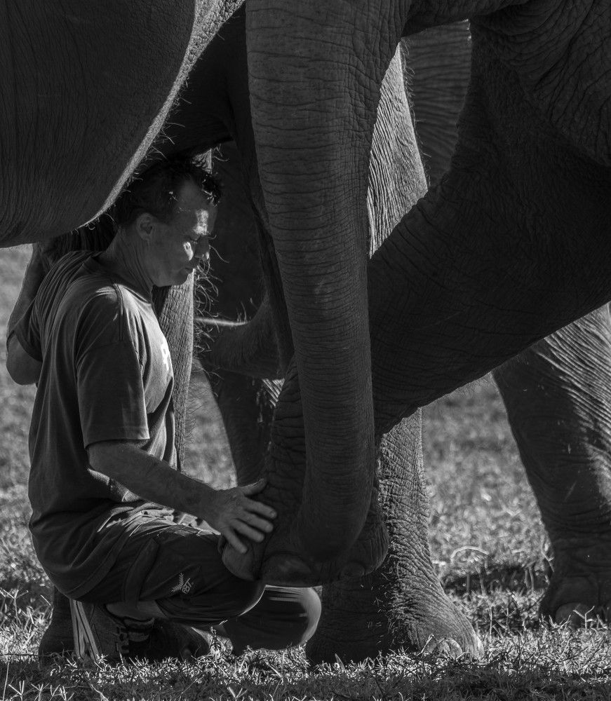 Photograph by Stevie