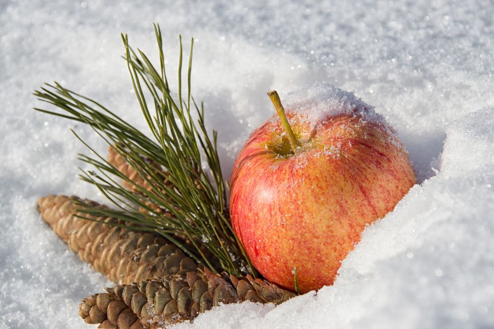 Photograph by Алёна Землянухина