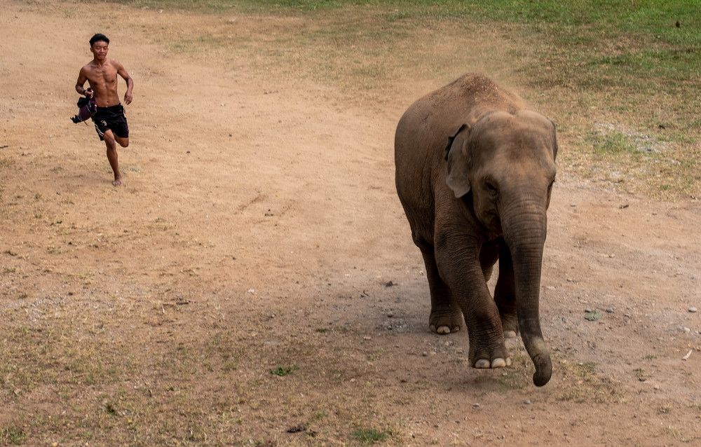 Photograph by Stevie