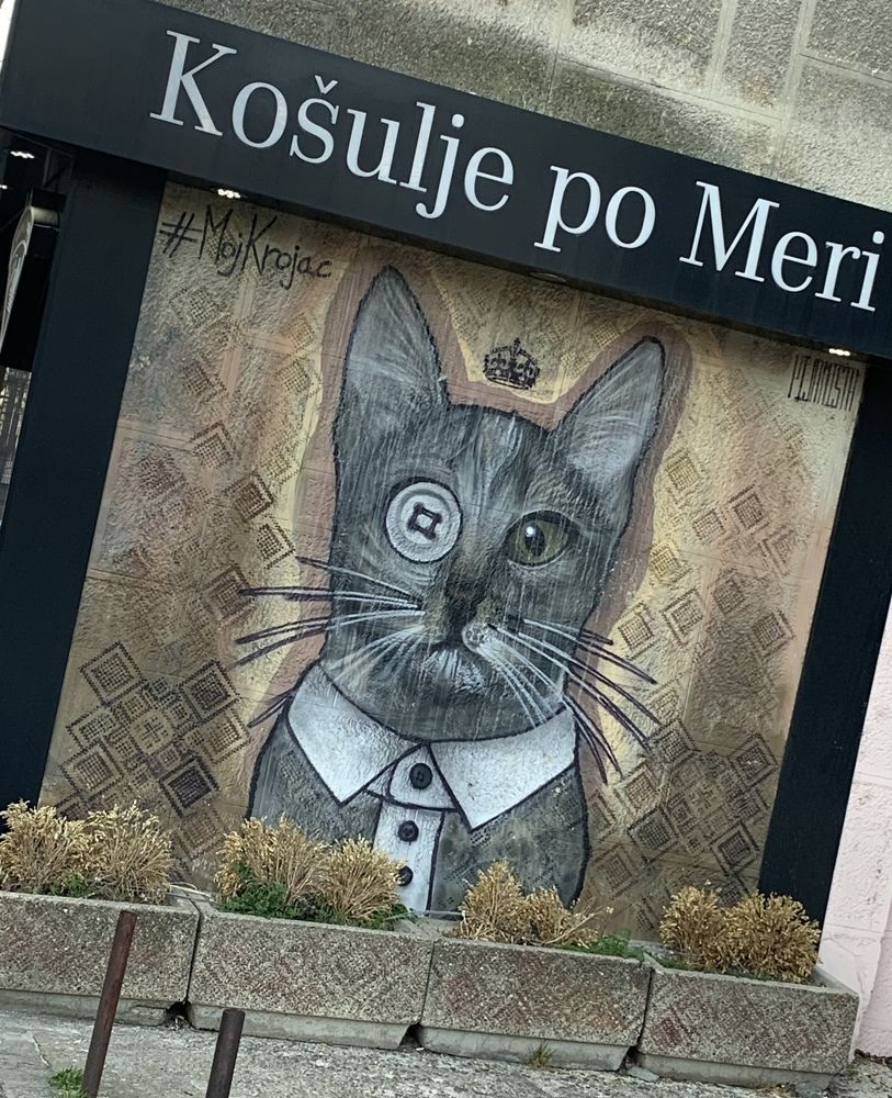 Photograph by Наталья