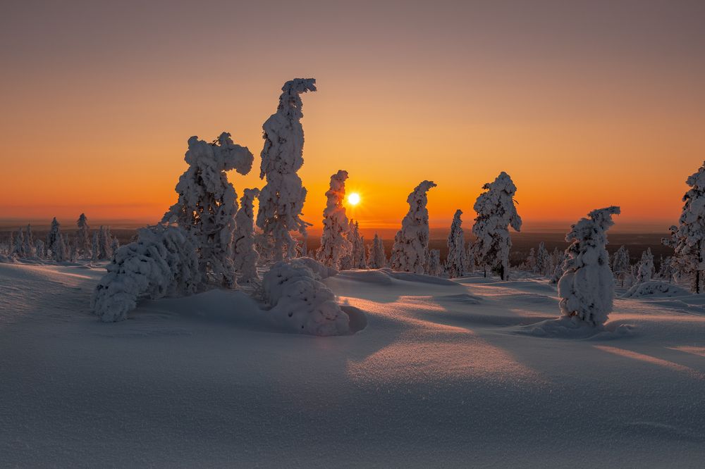 Photograph by Зарышнюк Роман