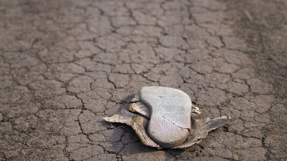 Photograph by Юрий Москалев