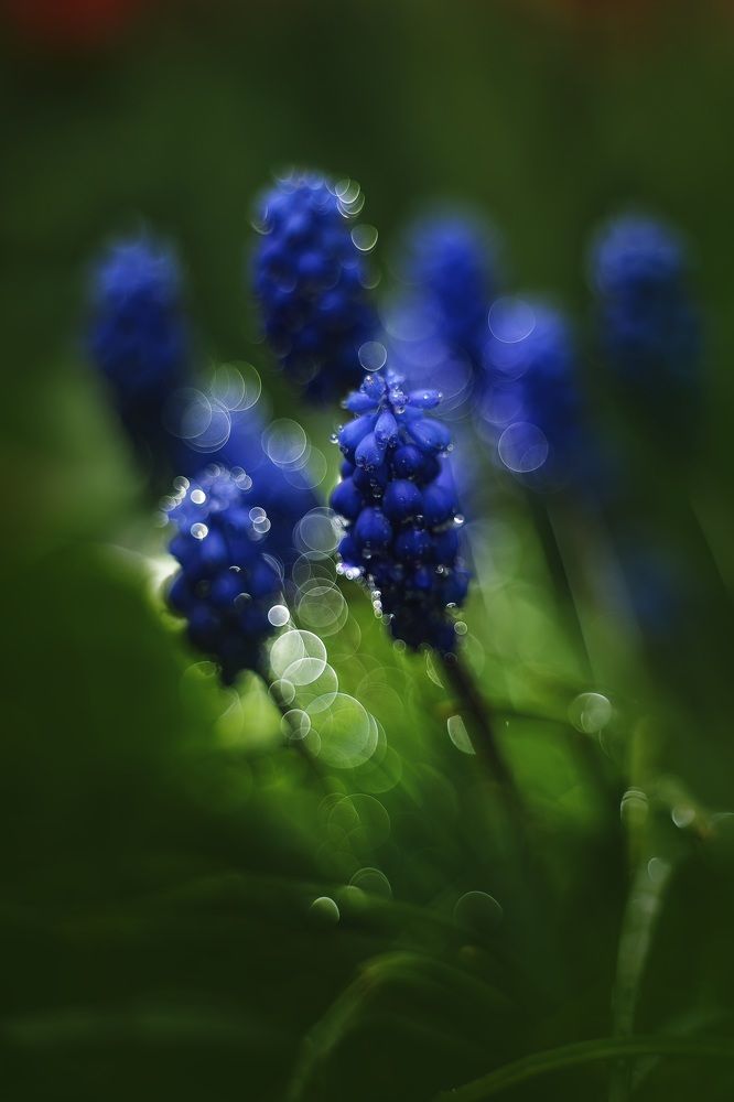 Фотография автора Dolli Pogrebnaya