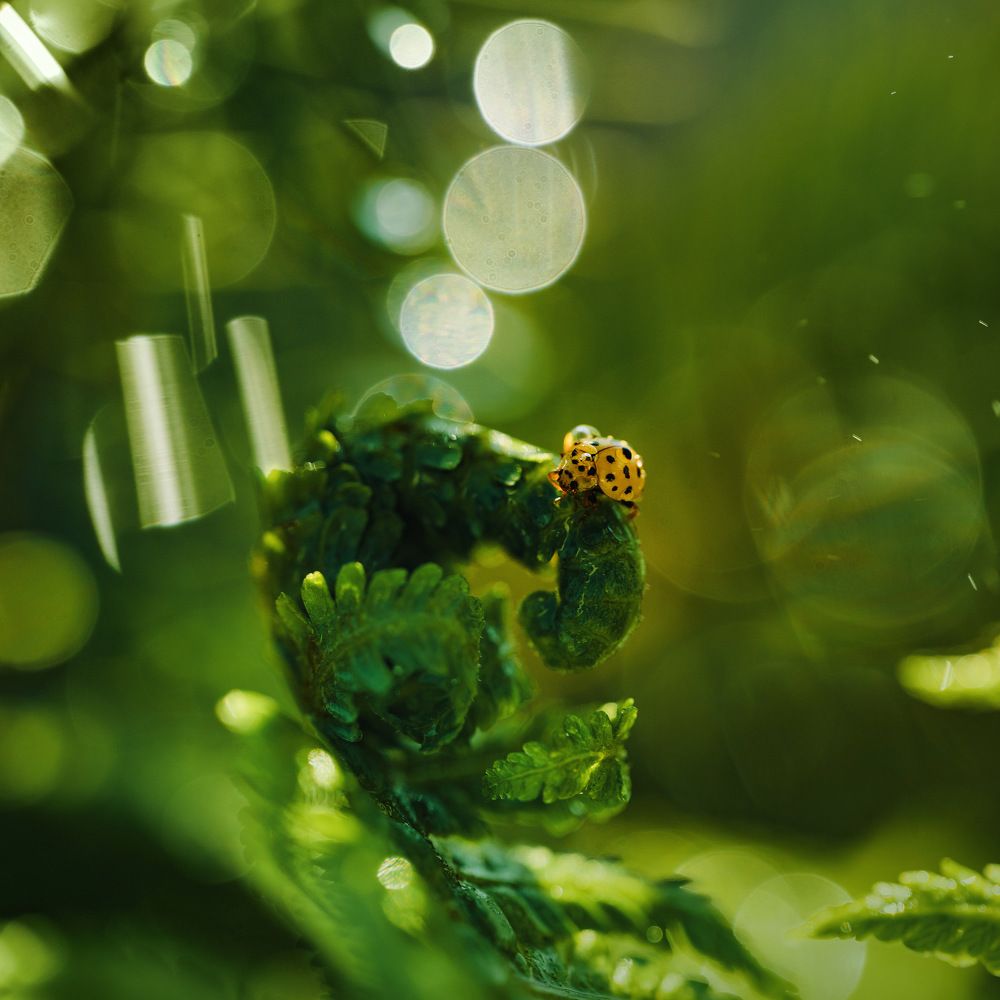 Фотография автора Dolli Pogrebnaya