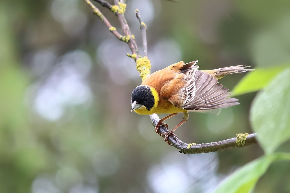 Photograph by Анжелика Рейн