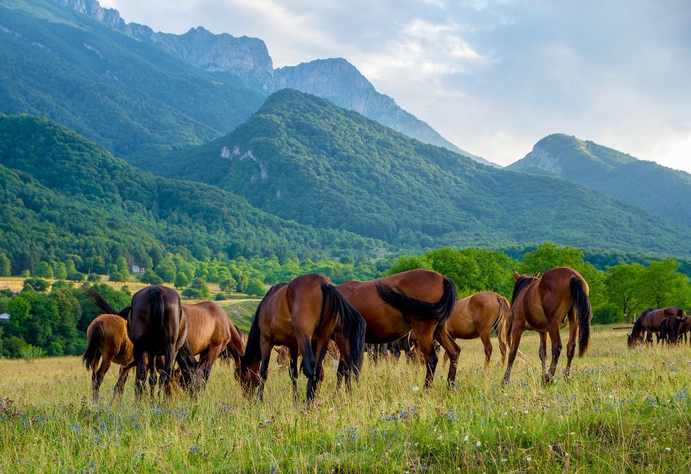 Photograph by Марина Томарева
