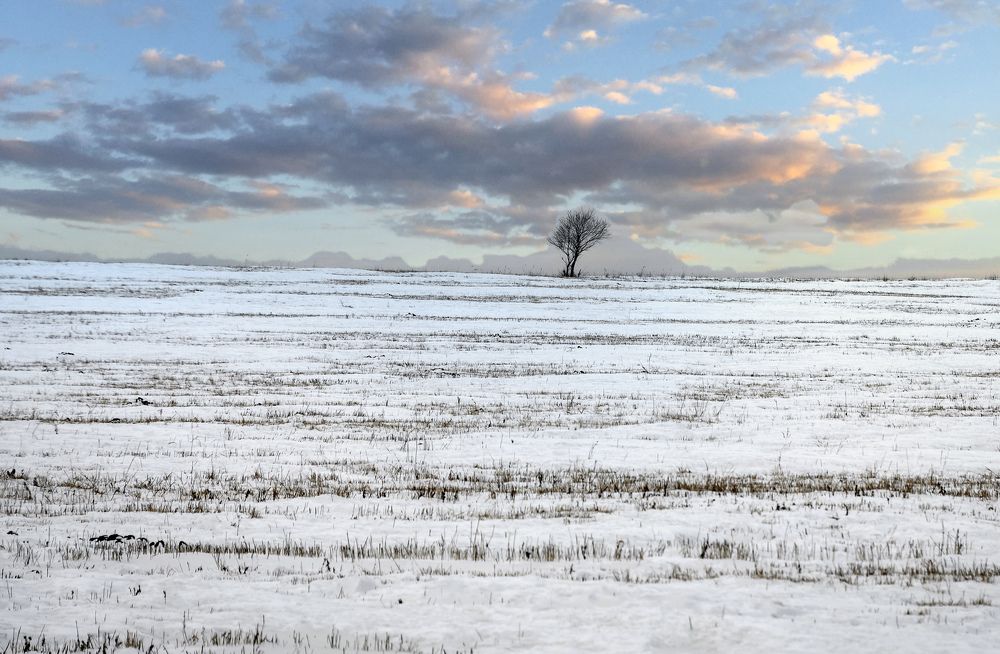 Photograph by Олег Волков