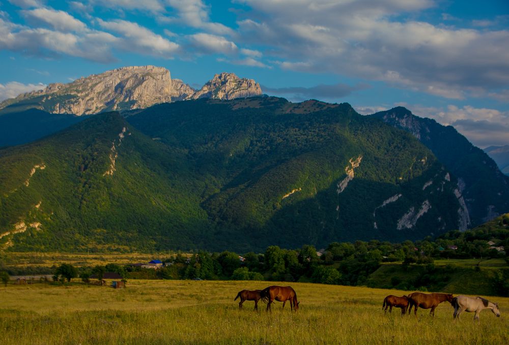Photograph by Марина Томарева