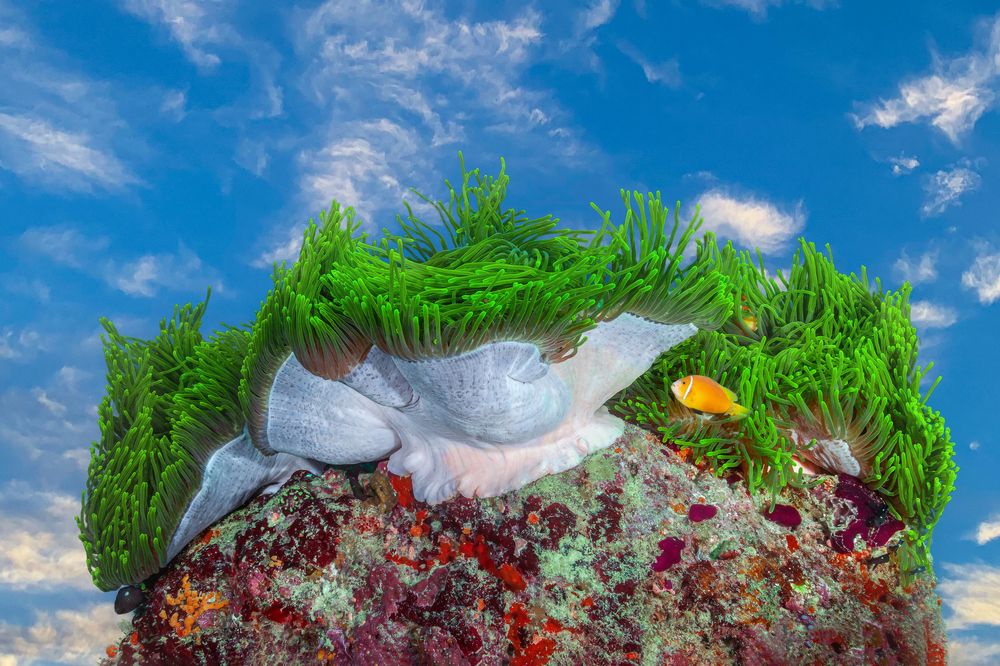 Photograph by Игорь Богаченко