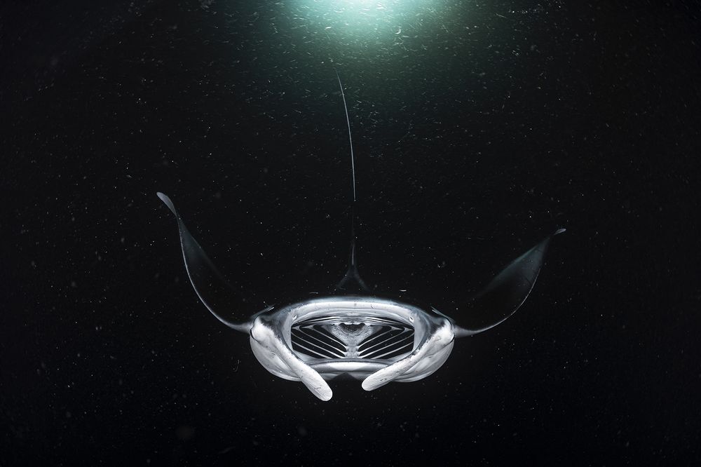 Photograph by Andy Schmid