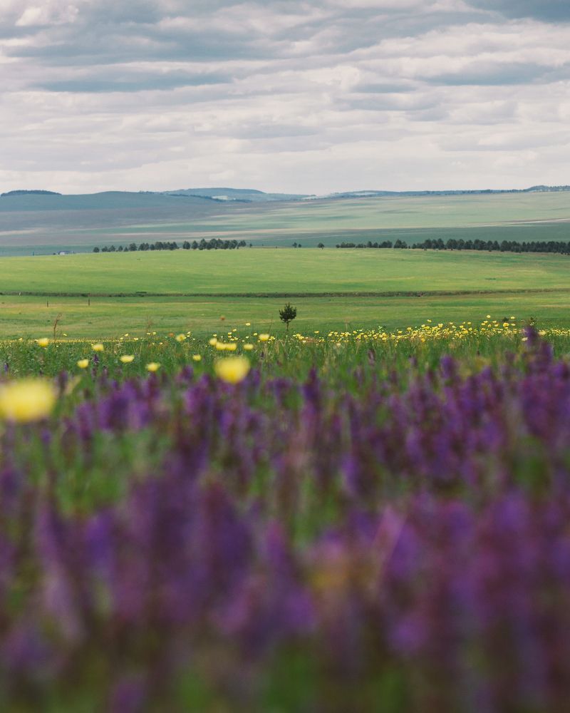 Photograph by Евгения Сосновская