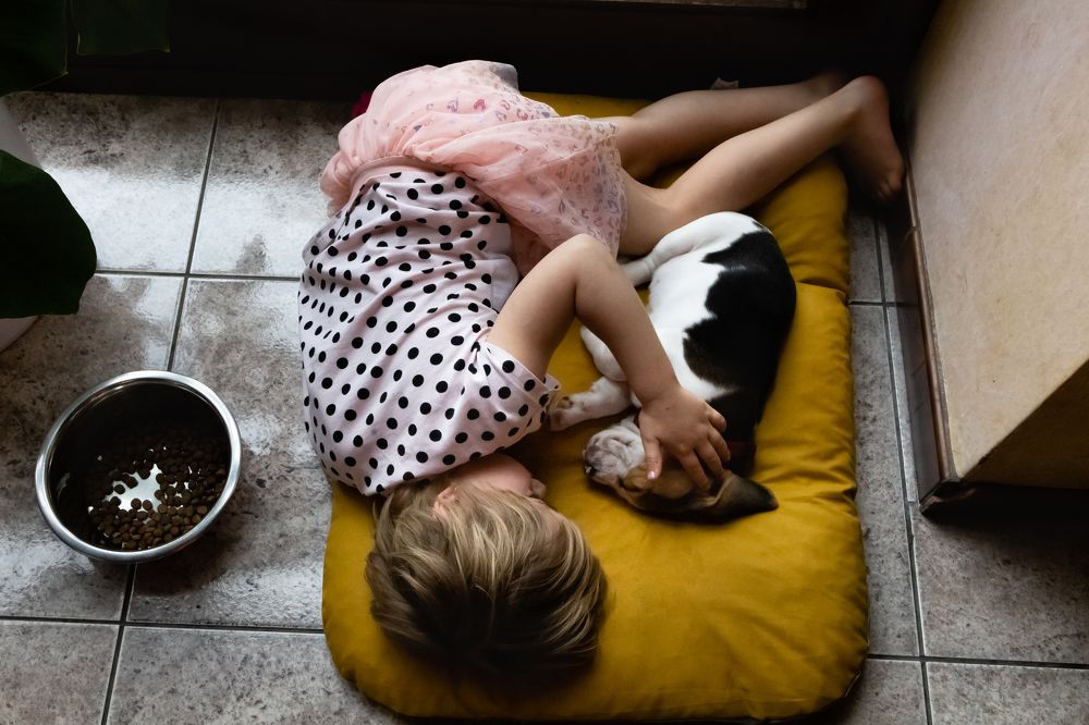 Фотография автора Elena Van Melkebeek