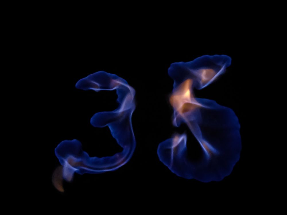 Фотография автора Abir Duley