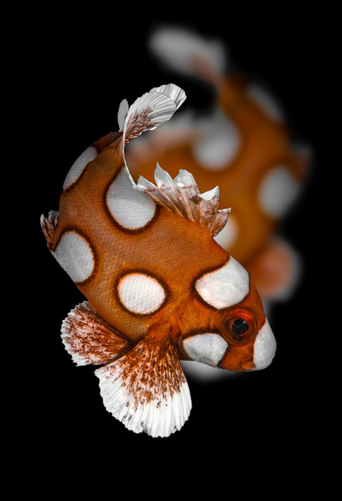 Photograph by Игорь Богаченко