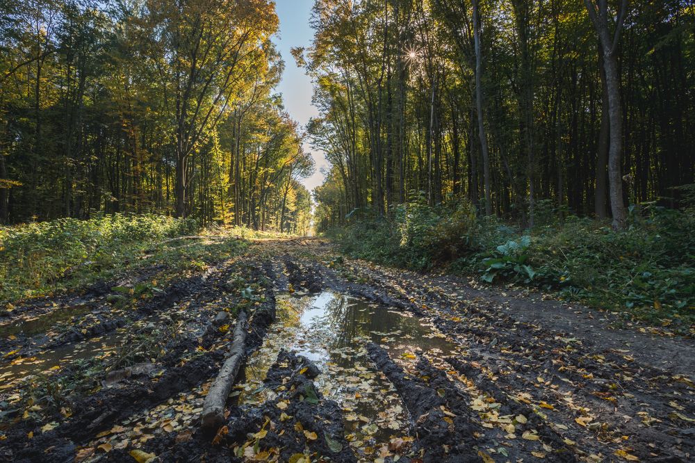 Фотография автора Владислав Марухин