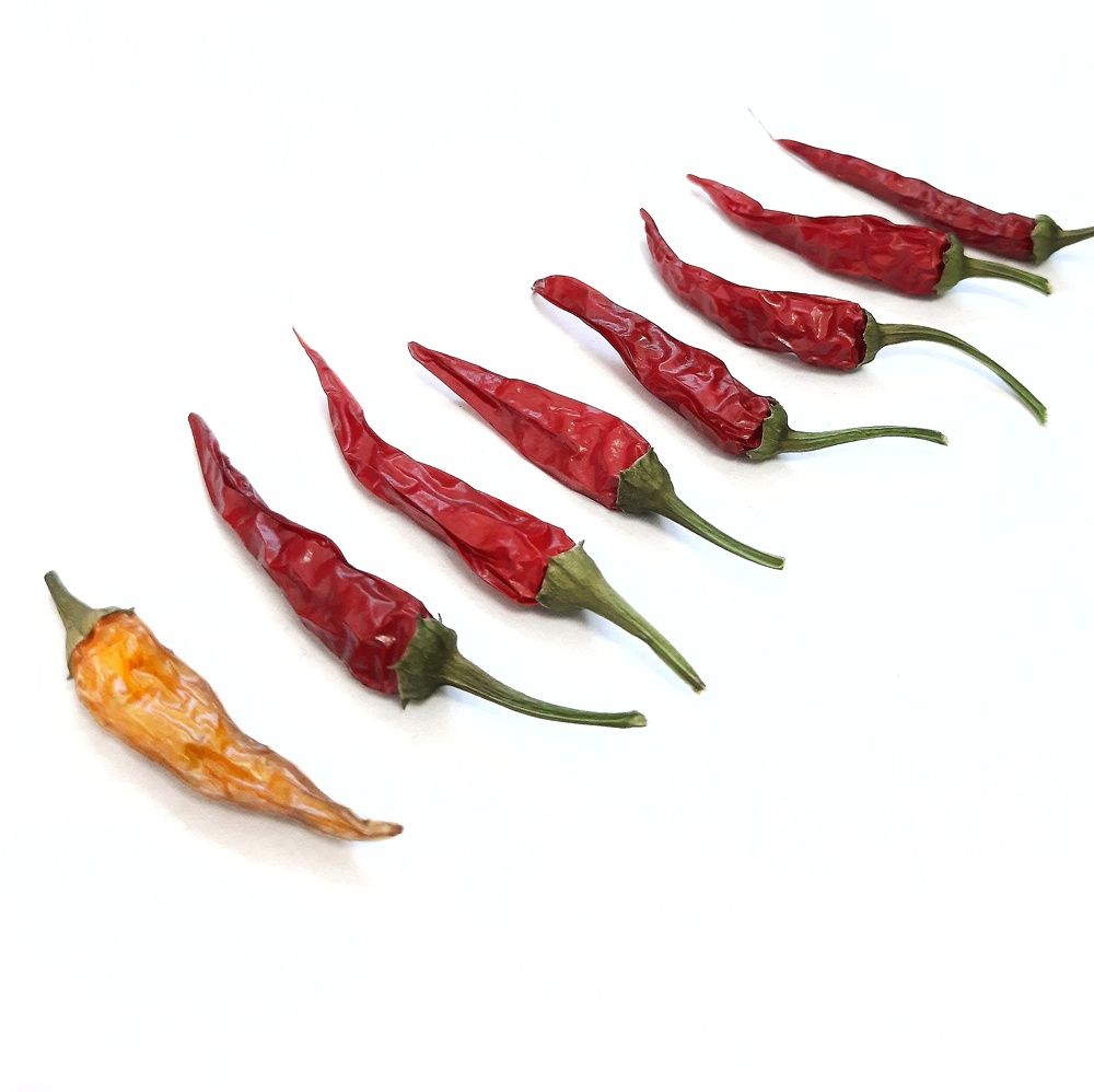 Фотография автора Olga Kunakova