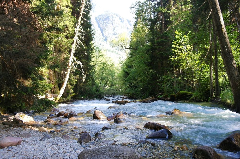 Photograph by Ирина Дронова