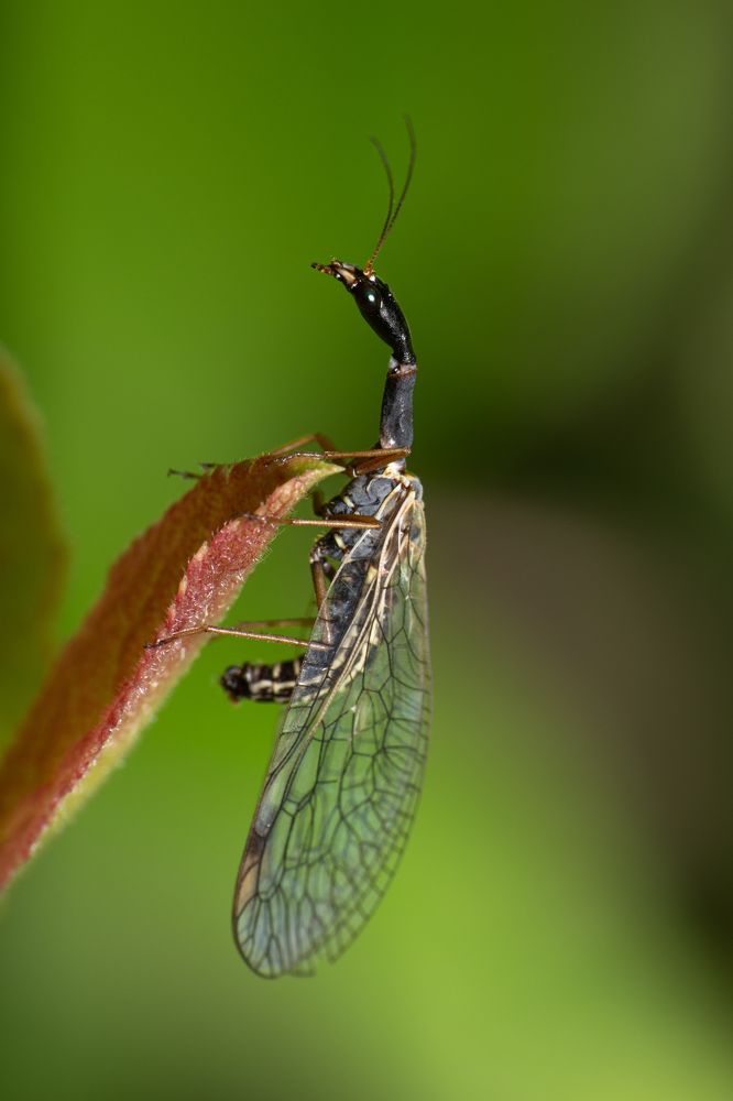 Photograph by Александр Губин