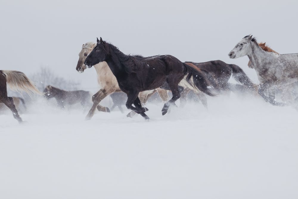Photograph by Марина Кирпичникова